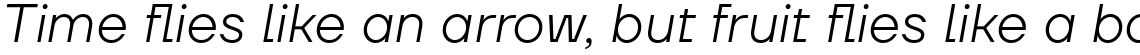 TT Firs Neue Light Italic