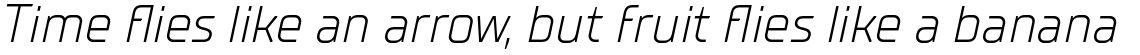 TT Supermolot Neue Light Italic