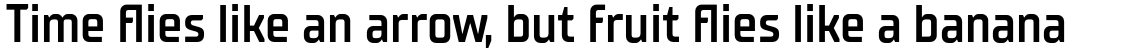 TT Supermolot Neue Condensed DemiBold