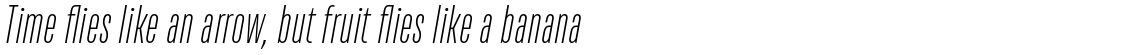 TT Bluescreens Extra Light Italic
