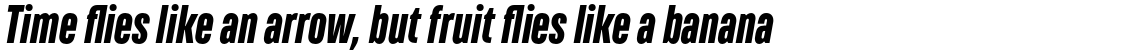 TT Bluescreens Extra Bold Italic