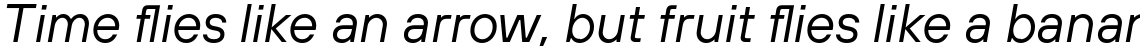 TT Hoves Regular Italic