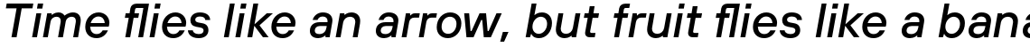 TT Hoves Medium Italic