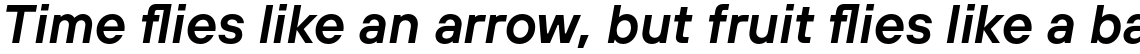 TT Hoves DemiBold Italic
