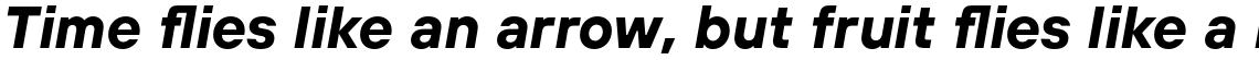 TT Hoves Bold Italic