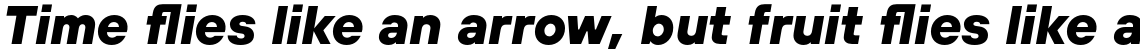 TT Hoves ExtraBold Italic