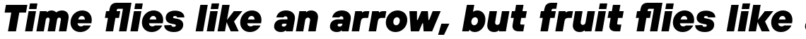 TT Hoves Black Italic