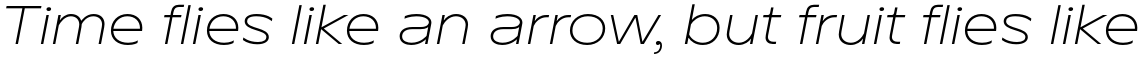 TT Runs Light Italic
