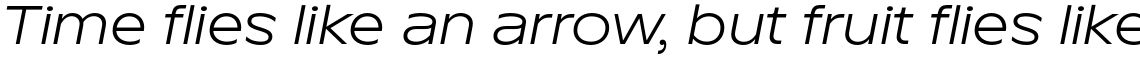 TT Runs Regular Italic