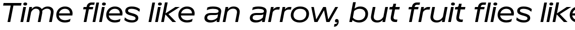 TT Runs Medium Italic