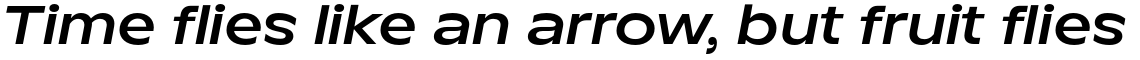 TT Runs DemiBold Italic