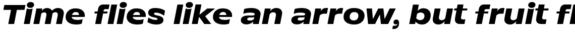 TT Runs ExtraBold Italic