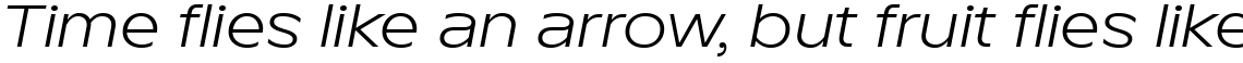 TT Runs Variable Italic