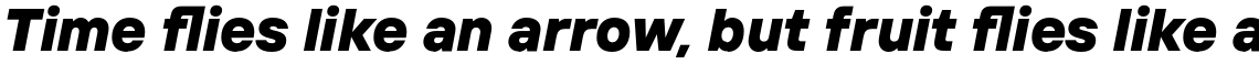 TT Interphases Black Italic