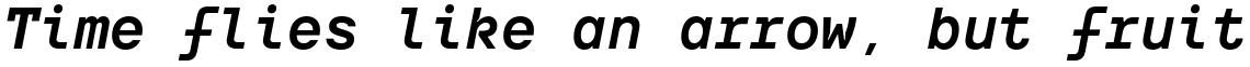 TT Interphases Mono Bold Italic