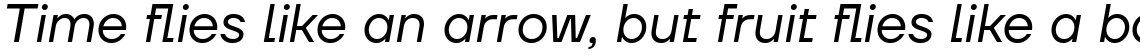 TT Firs Neue Variable Italic