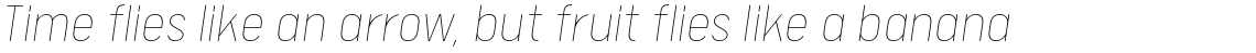 Calps Thin Italic