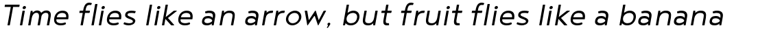 Noyh SemiLight Italic