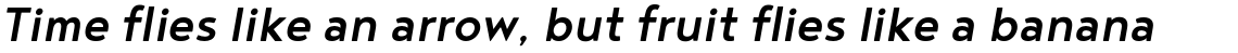 Noyh Medium Italic