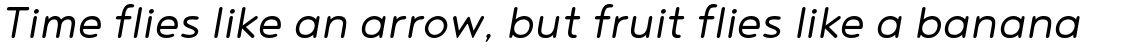 Noyh R SemiLight Italic