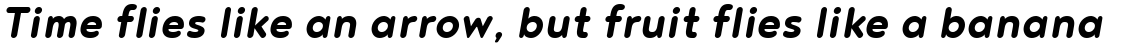 Noyh R Bold Italic