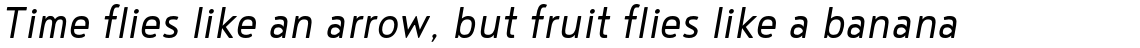Noyh Slim SemiLight Italic