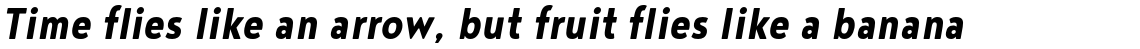 Noyh Slim Bold Italic