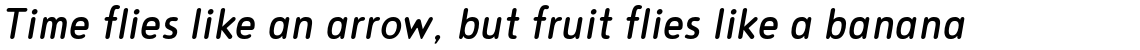 Noyh Slim R Italic