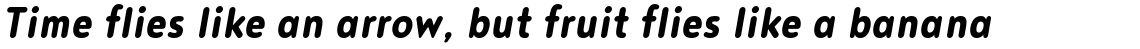 Noyh Slim R Bold Italic