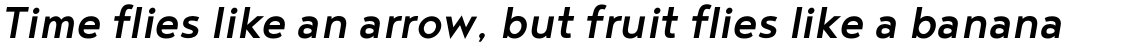 Noyh Geometric Medium Italic