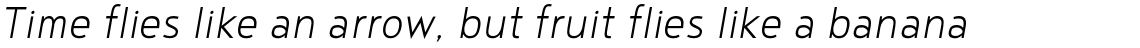 Noyh Geometric Slim Light Italic