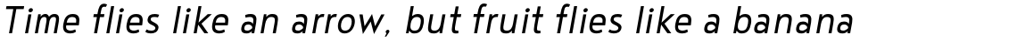 Noyh Geometric Slim SemiLight Italic