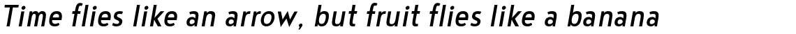 Noyh Geometric Slim Regular Italic