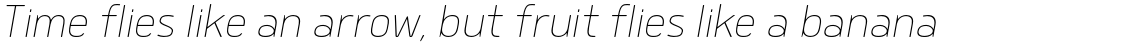 Delm Thin Italic
