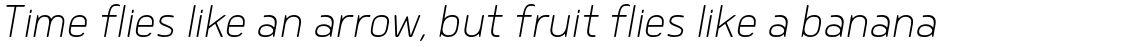 Delm ExtraLight Italic