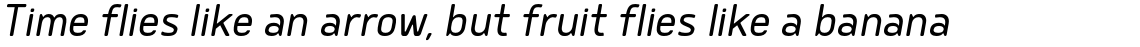 Delm SemiLight Italic