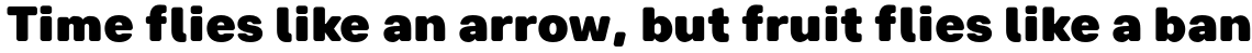 Breul Grotesk B Black