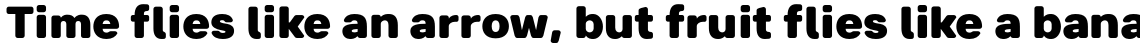 Breul Grotesk B Heavy