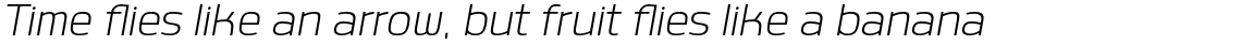 Labrador A Light Italic