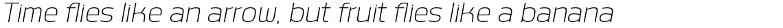 Labrador B ExtraLight Italic