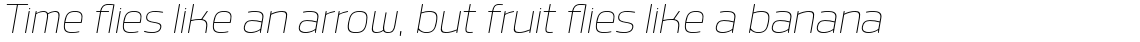 Labrador B Thin Italic