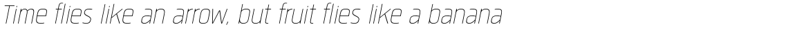 Quan Slim R Thin Italic