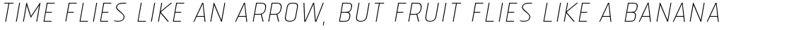 Tolyer No. 1 Thin Italic