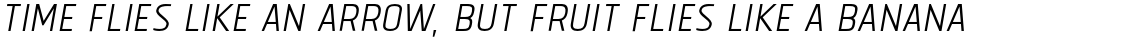 Tolyer No. 1 Light Italic