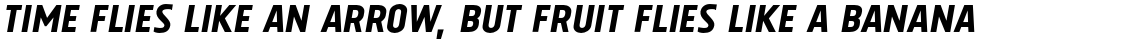 Tolyer No. 1 Medium Italic