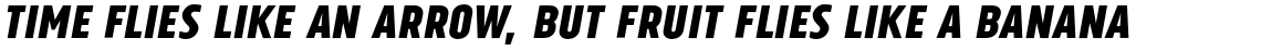 Tolyer No. 2 Bold Italic