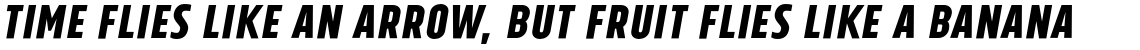 Tolyer No. 3 Bold Italic