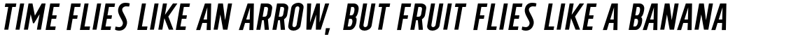 Tolyer No. 4 Medium Italic