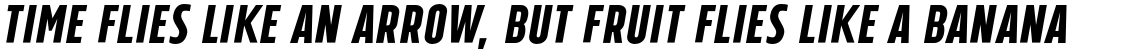 Tolyer No. 4 Bold Italic