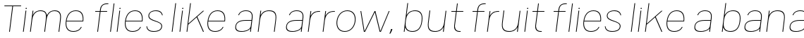 Germalt Alt Thin Italic